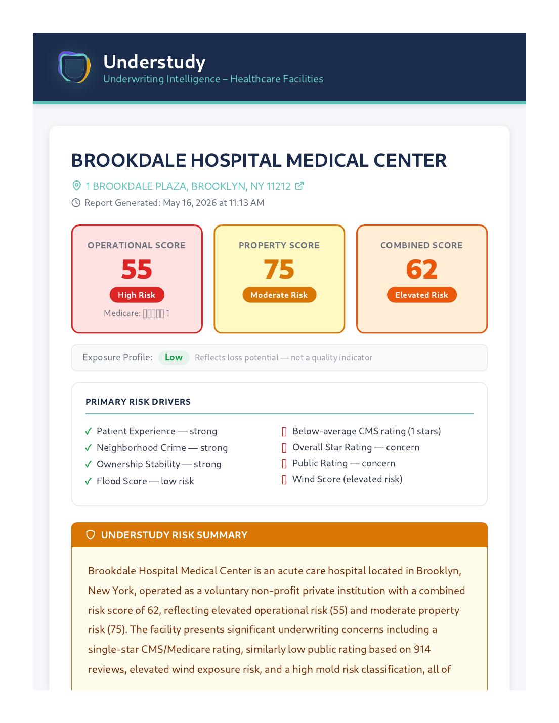 Understudy Healthcare report sample for a hospital